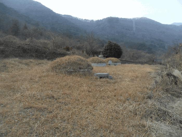 경상남도 창원시 마산합포구 임야