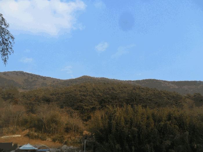 경상남도 창원시 마산합포구 진동면 태봉리 382 임야 경매 사진 12
