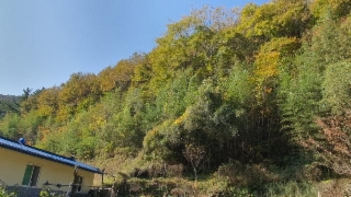 경상남도 창원시 마산합포구 진동면 태봉리 382 임야 경매 사진 15