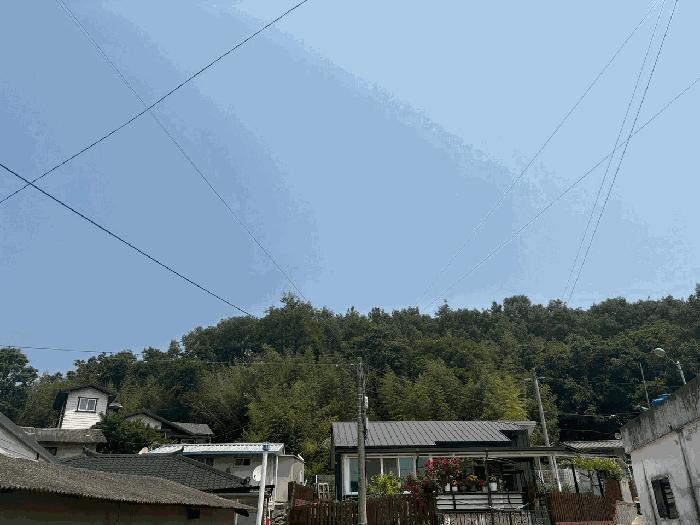 대구광역시 달성군 현풍읍 지리 767 전 경매 사진 5