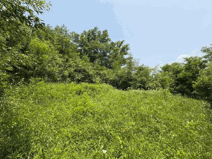 대구광역시 달성군 현풍읍 지리 767 전 경매 사진 6
