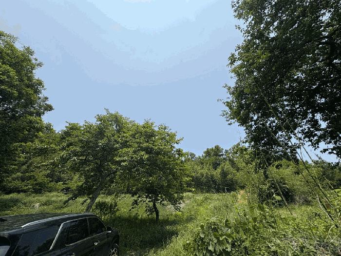 경상북도 고령군 개진면 옥산리 산36 임야 경매 사진 12