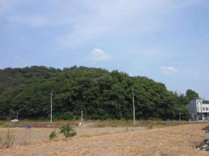 경상북도 고령군 개진면 옥산리 산36 임야 경매 사진 17