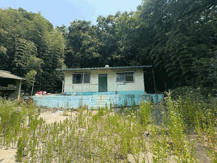경상북도 고령군 개진면 옥산리 산36 임야 경매 사진 7
