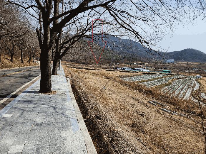 대구광역시 달성군 유가읍 쌍계리 579 답 경매 사진 1
