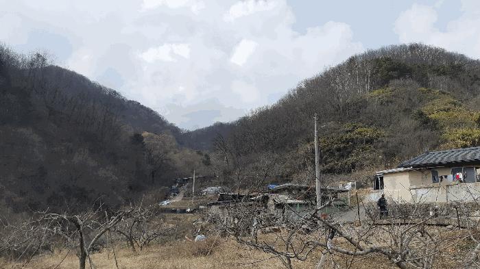 경상북도 김천시 지례면 교리 산60 임야 경매 사진 4