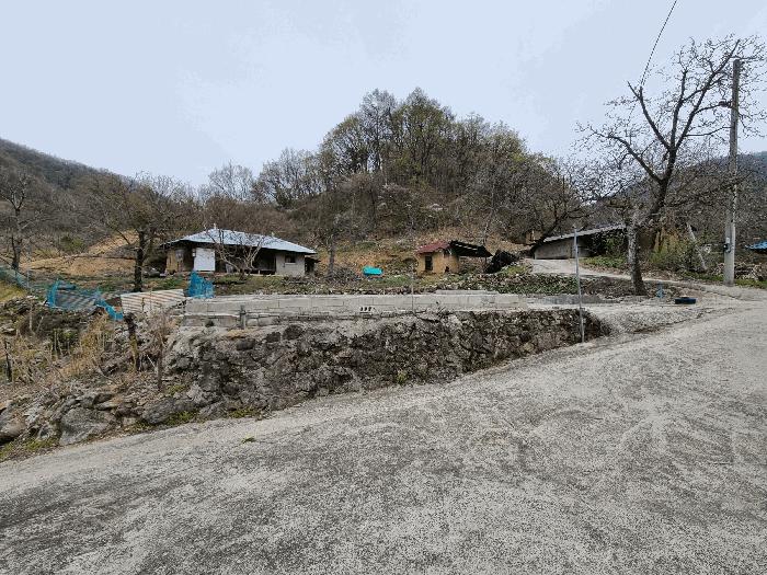 경상북도 김천시 대항면 대성리 125 대지 경매 사진 1