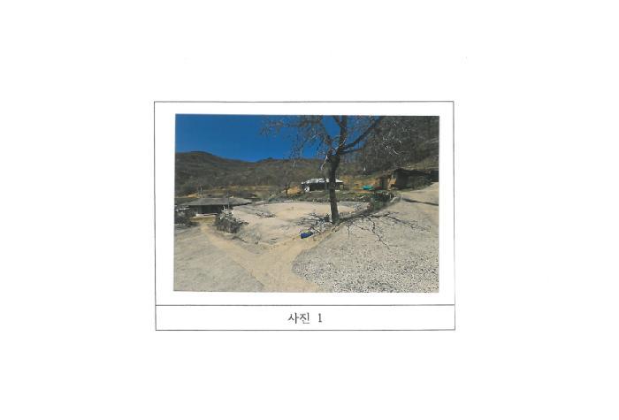 경상북도 김천시 대항면 대성리 125 대지 경매 사진 3