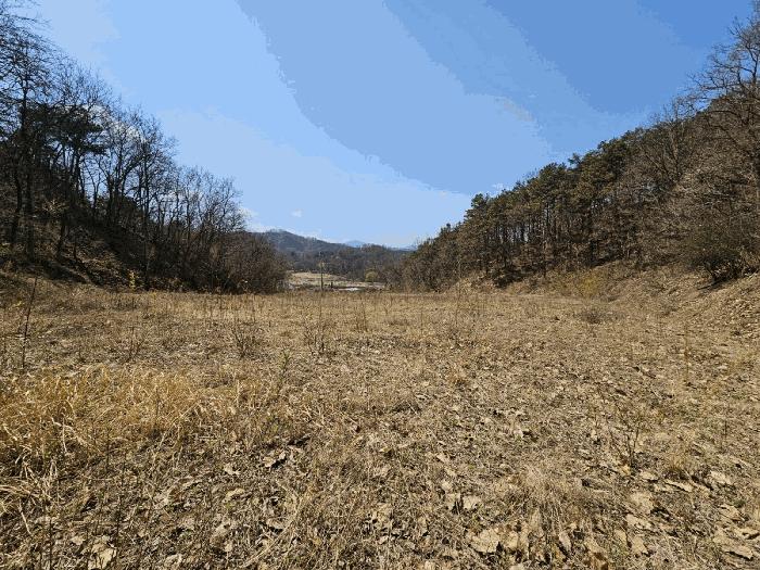 경상북도 김천시 감천면 금송리 314 과수원 경매 사진 4