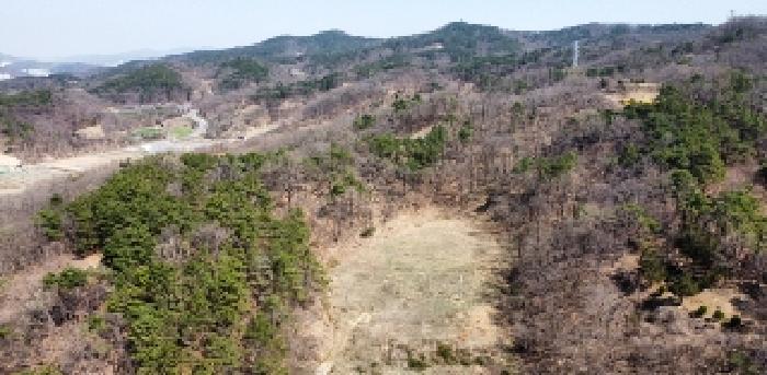 경상북도 김천시 감천면 금송리 314 과수원 경매 사진 5