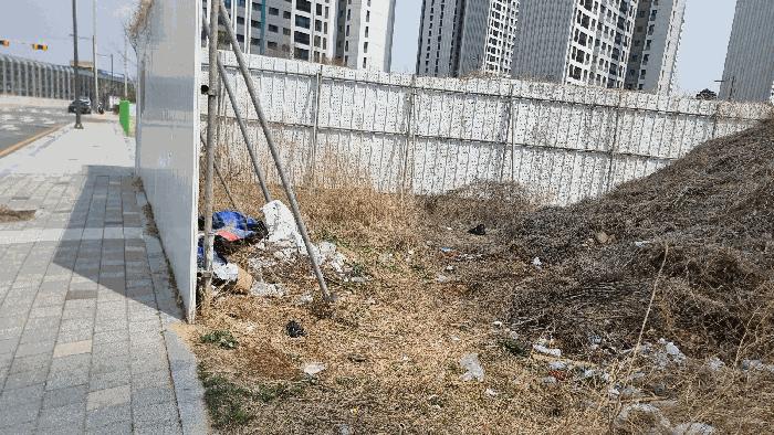경상북도 김천시 부곡동 516-6 답 경매 사진 6