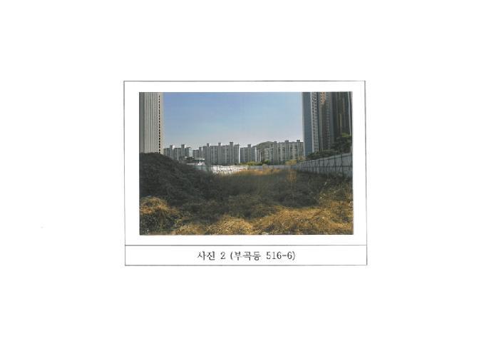 경상북도 김천시 부곡동 516-6 답 경매 사진 9