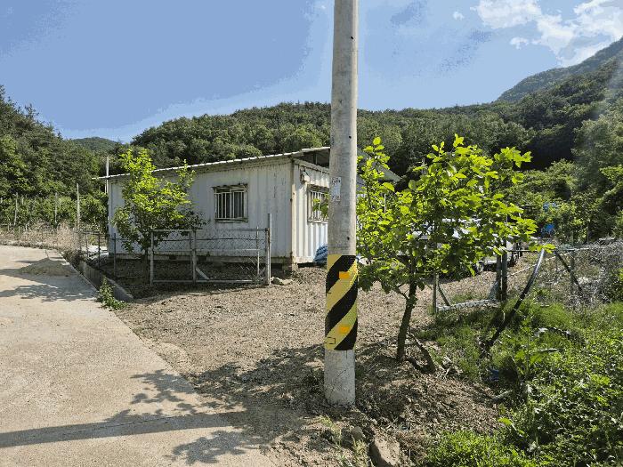 경상북도 영천시 신녕면 부산리 490 전 경매 사진 7