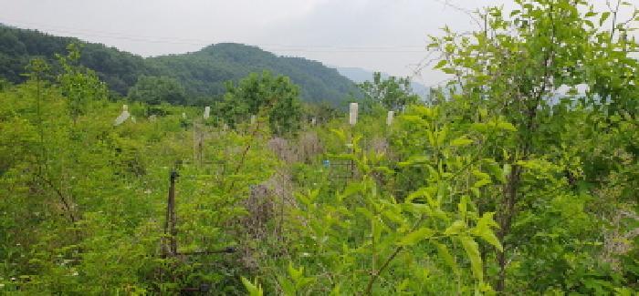 경상북도 경산시 남산면 우검리 129 답 경매 사진 9