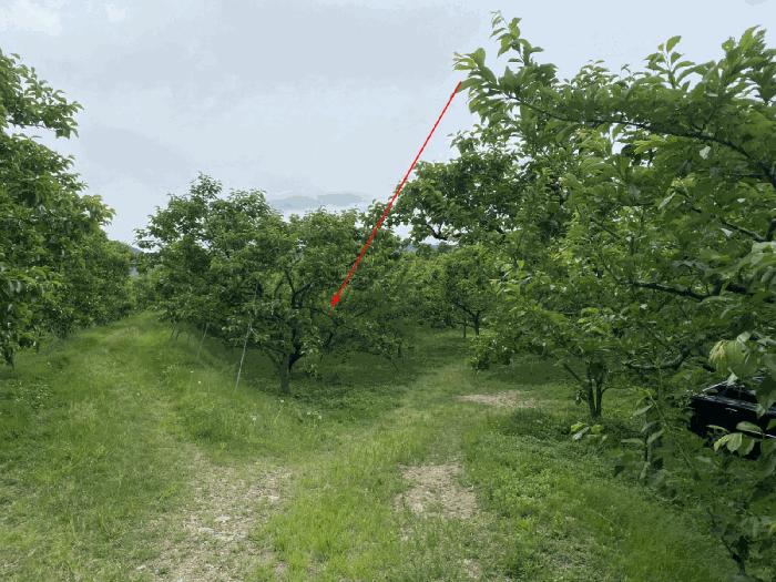 경상북도 경산시 남산면 우검리 372-2 하천 경매 사진 3