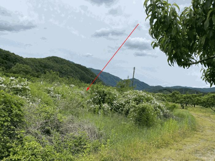 경상북도 경산시 남산면 우검리 372-2 하천 경매 사진 4