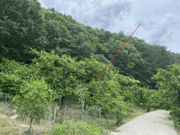 경상북도 경산시 남산면 우검리 372-2 하천 경매 사진 5