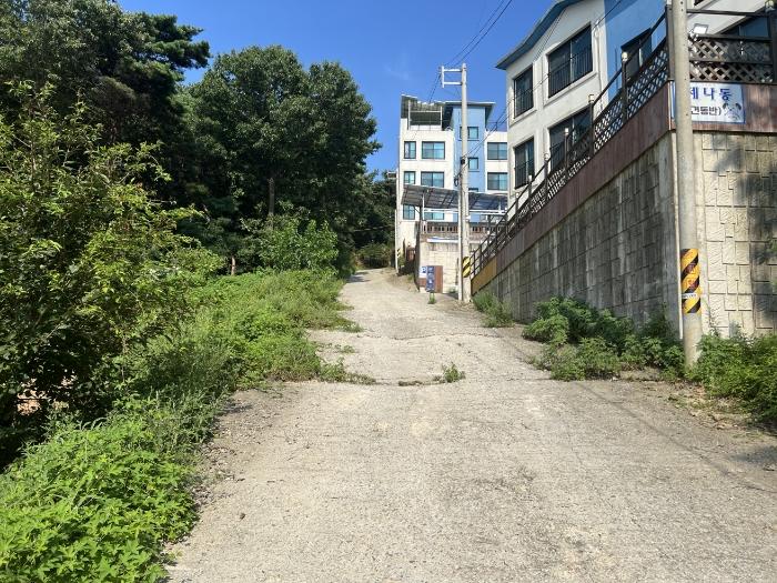 인천광역시 옹진군 영흥면 내리 725-61 도로 경매 사진 1