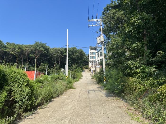 인천광역시 옹진군 영흥면 내리 725-61 도로 경매 사진 4