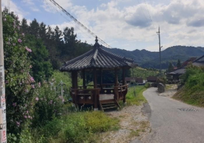 충청북도 음성군 음성읍 초천리 339-3 답 경매 사진 9