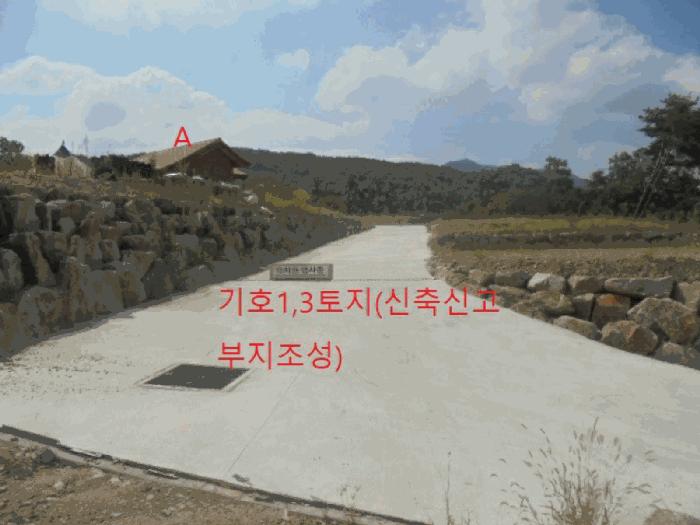 충청북도 음성군 음성읍 초천리 산61-1 임야 경매 사진 11