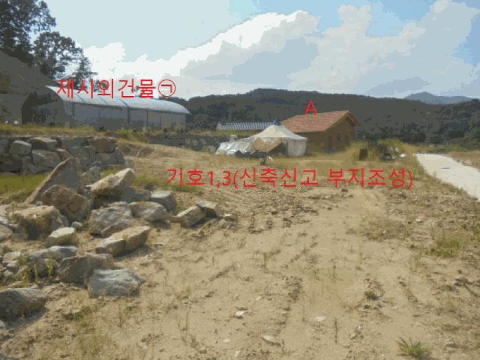 충청북도 음성군 음성읍 초천리 산61-1 임야 경매 사진 12