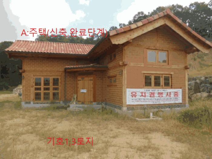 충청북도 음성군 음성읍 초천리 산61-1 임야 경매 사진 14