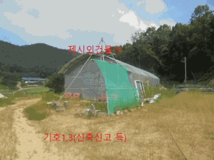 충청북도 음성군 음성읍 초천리 산61-1 임야 경매 사진 20