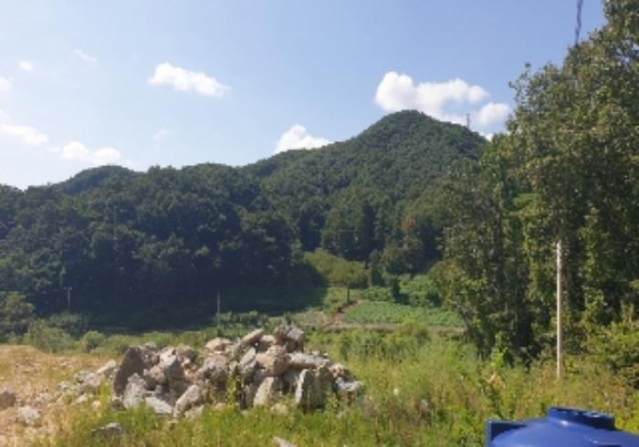 충청북도 음성군 음성읍 초천리 산61-1 임야 경매 사진 27