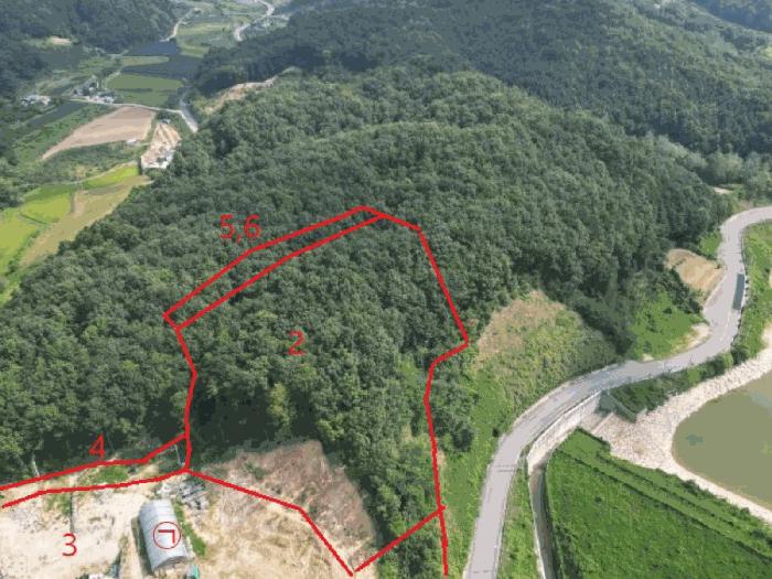충청북도 음성군 음성읍 초천리 산61-1 임야 경매 사진 5