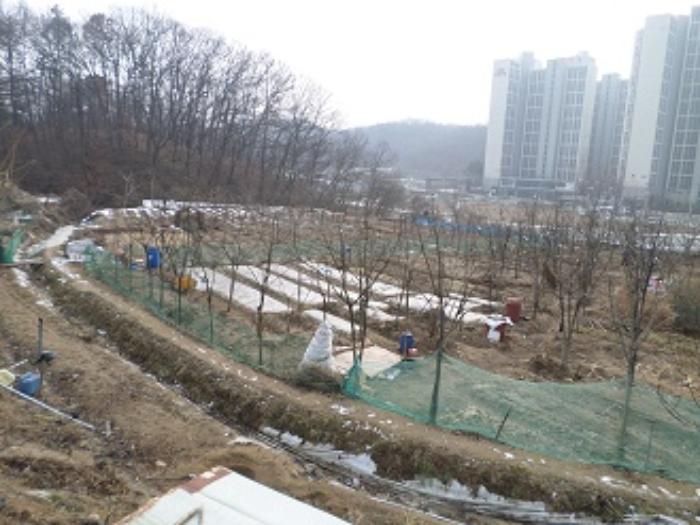 강원특별자치도 원주시 태장동 966-2 답 경매 사진 1