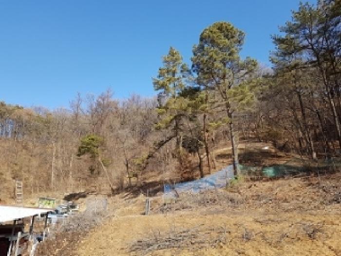 강원특별자치도 원주시 봉산동 422-19 임야 경매 사진 3