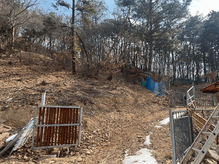 강원특별자치도 원주시 지정면 신평리 327-28 임야 경매 사진 2