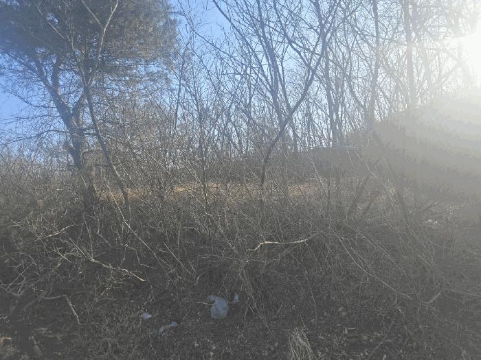 강원특별자치도 강릉시 연곡면 행정리 210-19 임야 경매 사진 3