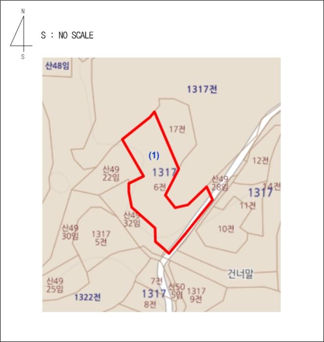 충청북도 충주시 동량면 대전리 1317-6 전 경매 사진 8
