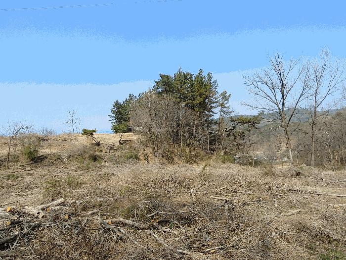 충청남도 부여군 부여읍 송곡리 72 임야 경매 사진 4