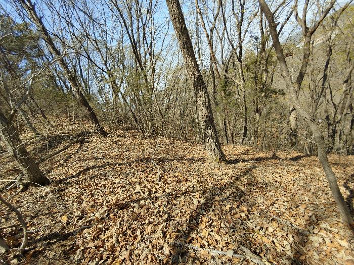 충청남도 부여군 부여읍 송곡리 105-6 전 경매 사진 6