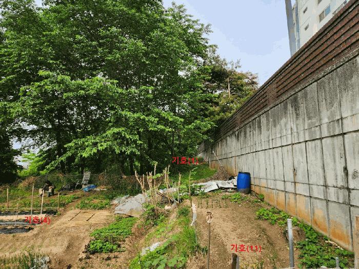 충청남도 천안시 서북구 직산읍 삼은리 59-4 과수원 경매 사진 8