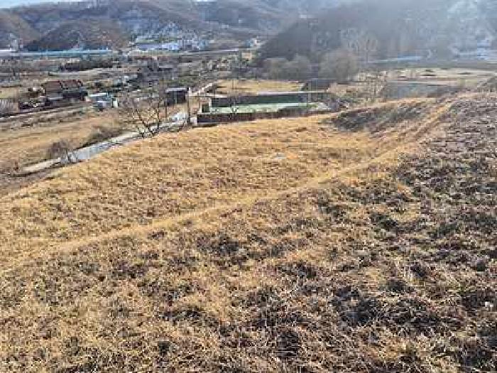 충청남도 천안시 동남구 북면 납안리 121-1 전 경매 사진 12