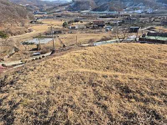 충청남도 천안시 동남구 북면 납안리 121-1 전 경매 사진 13