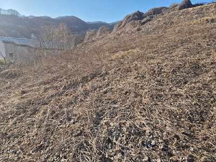 충청남도 천안시 동남구 북면 납안리 121-1 전 경매 사진 16