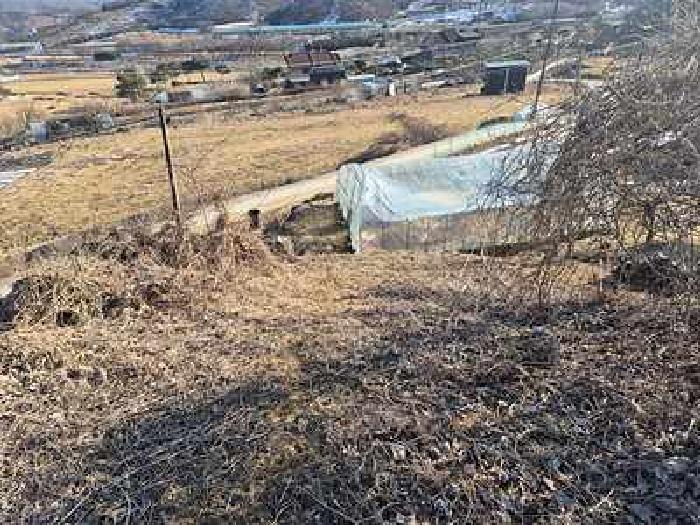충청남도 천안시 동남구 북면 납안리 121-1 전 경매 사진 18