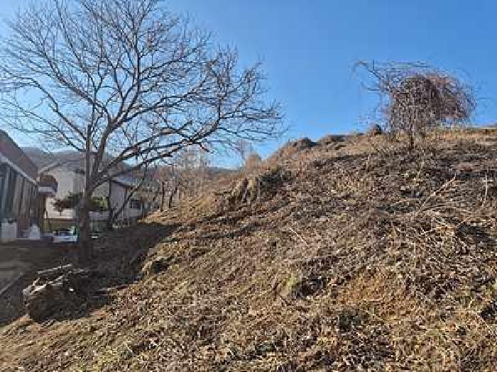 충청남도 천안시 동남구 북면 납안리 121-1 전 경매 사진 20