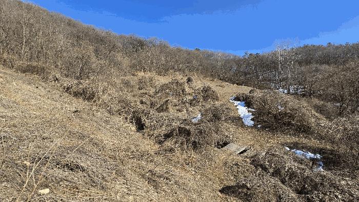 충청남도 천안시 동남구 북면 납안리 121-1 전 경매 사진 7