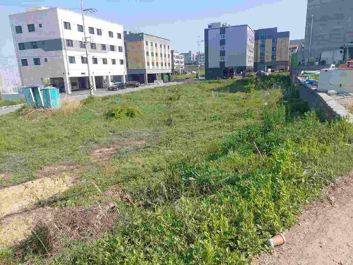 충청남도 아산시 둔포면 염작리 290-84 전 경매 사진 44