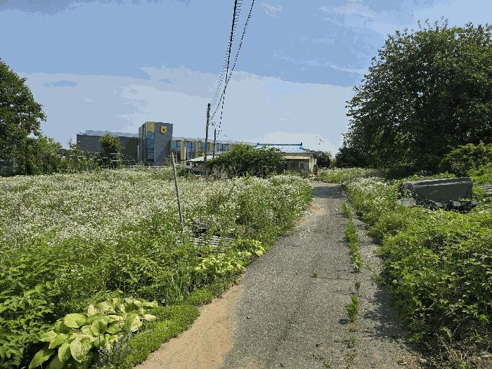 충청남도 천안시 서북구 성거읍 모전리 197-2 주택 경매 사진 3
