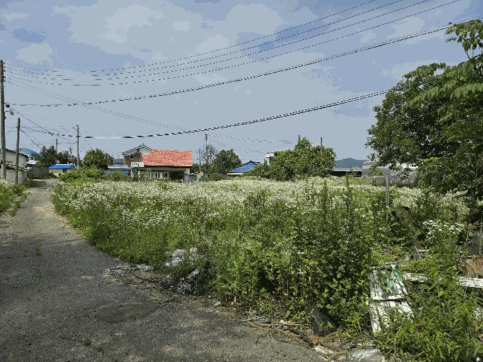충청남도 천안시 서북구 성거읍 모전리 197-2 주택 경매 사진 7