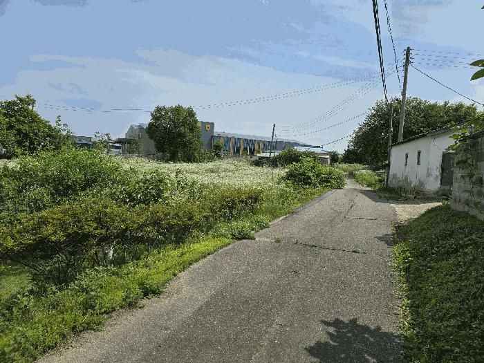 충청남도 천안시 서북구 성거읍 모전리 197-2 주택 경매 사진 9