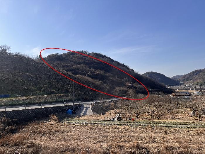 경상남도 밀양시 초동면 신월리 62-6 과수원 경매 사진 10