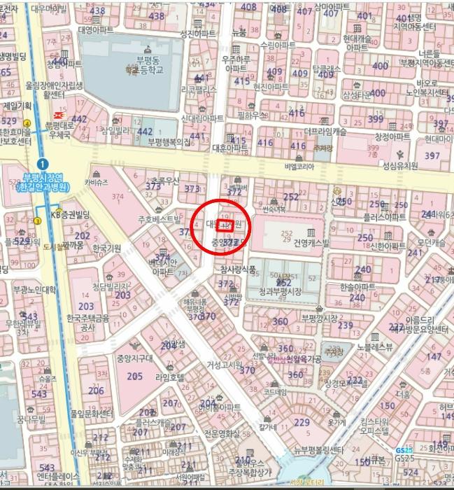 인천광역시 부평구 주부토로 30-1, 8층 805호 (부평동,스타빌)구) 인천광역시 부평구 부평동 372-18 다세대(빌라) 경매 사진 10
